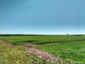 De Karvoskylä à Oulu